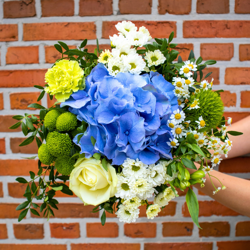 Send a bouquet of anemones and give the gift of joy